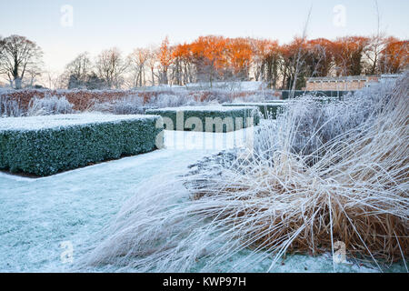 Scampston Walled Garden, North Yorkshire, Regno Unito. Inverno, dicembre 2017. Un quattro acri di giardino contemporaneo disegnato da Piet Oudolf. Foto Stock