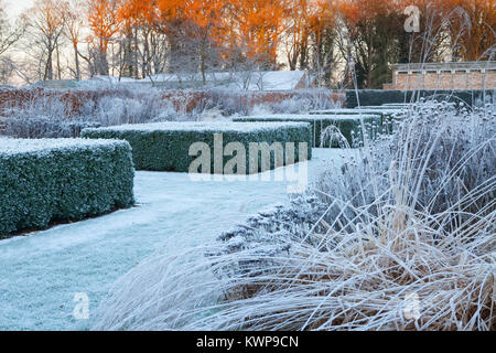 Scampston Walled Garden, North Yorkshire, Regno Unito. Inverno, dicembre 2017. Un quattro acri di giardino contemporaneo disegnato da Piet Oudolf. Foto Stock