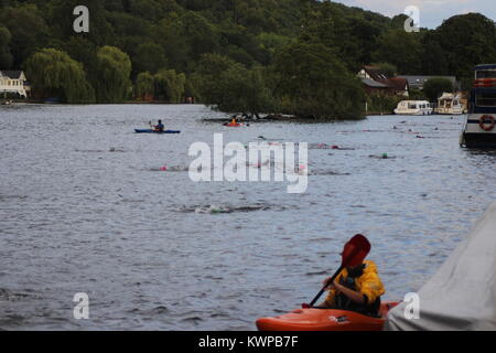 Una gara per la carità il Club annuale al Pub nuotare - Henley on Thames, Regno Unito Foto Stock