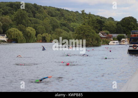 Una gara per la carità il Club annuale al Pub nuotare - Henley on Thames, Regno Unito Foto Stock