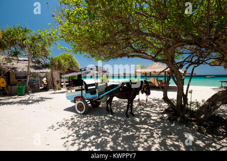 Indonesia, Lombok, Gili arcipelago, Gili Meno, l'unico mezzo di trasporto è il cidomo, carro trainato da cavalli Foto Stock