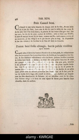 Pagina 46 del Recueil de divers oiseaux étrangers et peu communs mostra un testo descrittivo che accompagna una placca ornitologica, pubblicata come parte della serie del 1768-1776 dagli eredi di Seligmann a Norimberga. biodiversitylibrary.org+1 Foto Stock