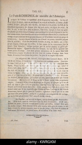 Questa illustrazione tratta dal "Recueil de divers oiseaux étrangers et peu communs" evidenzia specie di uccelli rari e meno conosciuti. Fa parte di un catalogo che presenta una vasta gamma di diversità aviarie e il loro contesto ambientale. Foto Stock
