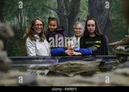 Camanche, Iowa, USA. 29 Mar, 2017. Da sinistra, la nonna e la bisnonna Jolene Whitman, e Joe Arlene, centro, guardare un acquario presentano con bambini Aaliya, 6, Trenton, 9, e Alexia, 14, al Rock Creek Marina e campeggio in Camanche Mercoledì, 29 marzo 2017. Credito: Andy Abeyta, Quad-City volte/Quad-City volte/ZUMA filo/Alamy Live News Foto Stock