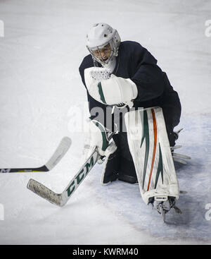 Moline, Iowa, USA. 24 gen 2017. Germani reali goaltender C.J. Motte (30) Si ritiene che le catture di un puck durante una pratica presso il centro di iWireless di Moline Martedì, 24 gennaio 2017. La pratica è stata la prima con ex assistant coach Phil Axtell agendo come interim head coach dopo la Germani reali sollevati ex allenatore Terry Ruskowski. Credito: Andy Abeyta/Quad-City volte/ZUMA filo/Alamy Live News Foto Stock