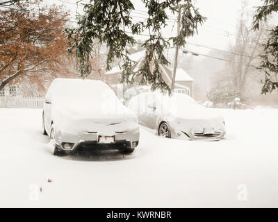 Chappaqua, NY, STATI UNITI D'AMERICA. 4 gennaio, 2018. Tempesta di neve Grayson, una bomba ciclone blizzard (denominato dai meteorologi per una forte pressione atmosferica goccia) ha colpito la costa orientale con Whiteout condizioni, congelamento a basse temperature fino a un piede di previsioni neve come nevicata continua. New York Gov. Andrew Cuomo ha dichiarato lo stato di emergenza nella contea di Westchester dove le raffiche di vento di 50 mph sono stati registrati questa mattina. Snow Day per scuole e imprese chiuse a causa della tempesta di neve. Forza uragano si snoda fino a 80 mph sono di previsione come tempesta di neve peggiora. Credito: © 2018 Marianne Campolongo/Alamy Live News. Foto Stock