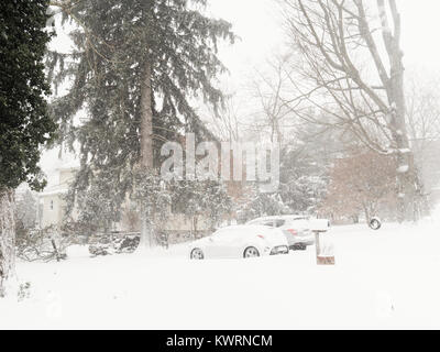 Chappaqua, NY, STATI UNITI D'AMERICA. 4 gennaio, 2018. Tempesta di neve Grayson, una bomba ciclone blizzard (denominato dai meteorologi per una forte pressione atmosferica goccia) ha colpito la costa orientale con Whiteout condizioni, congelamento a basse temperature fino a un piede di previsioni neve come nevicata continua. New York Gov. Andrew Cuomo ha dichiarato lo stato di emergenza nella contea di Westchester dove le raffiche di vento di 50 mph sono stati registrati questa mattina. Snow Day per scuole e imprese chiuse a causa della tempesta di neve. Forza uragano si snoda fino a 80 mph sono di previsione come tempesta di neve peggiora. Credito: © 2018 Marianne Campolongo/Alamy Live News. Foto Stock