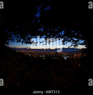 Una vista della città italiana di Torino attraverso gli alberi Foto Stock