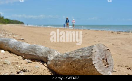 Driftwood su una spiaggia tropicale con persone in background, Bagal spiaggia vicino a Townsville, Queensland, Australia Foto Stock