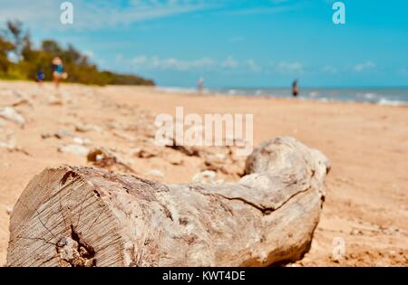 Driftwood su una spiaggia tropicale con persone in background, Bagal spiaggia vicino a Townsville, Queensland, Australia Foto Stock