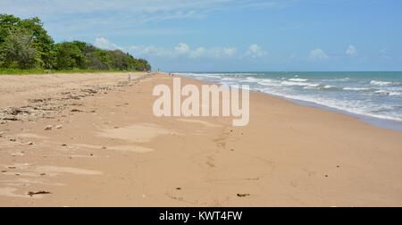 Spiaggia Bagal mostra lo stinger reti modo a distanza, vicino a Townsville, Queensland, Australia Foto Stock