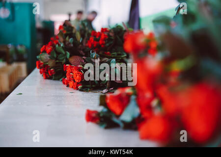 Fresh cut rose rosse giacciono sul tavolo Foto Stock