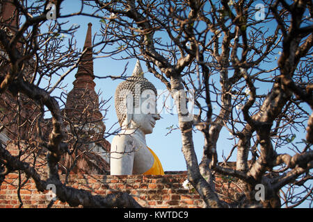 Statua del Buddha al Wat Yai Chai Mongkhon, Ayutthaya Thailandia Foto Stock