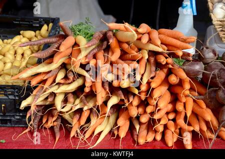 La carota di stallo vegetale santa fe farmers market NUOVO MESSICO USA Foto Stock