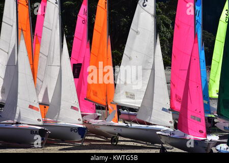 Ottenere pronto per laser di classe dinghy gare di vela. Foto Stock