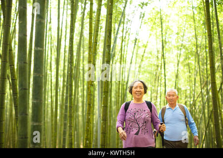 Coppia senior escursioni nel verde della foresta di bamboo Foto Stock