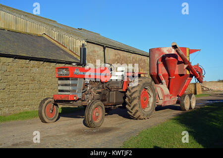 Massey Ferguson MF1100 con rimorchio alimentatore Foto Stock