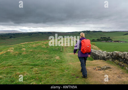 Walker per il vallo di Adriano sentiero vicino a balze Cawfield sotto un cielo meditabondo, Northumberland, Regno Unito Foto Stock