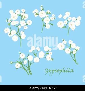 Set di ramo bella disegnati a mano gypsophila bianco su sfondo blu. Illustrazione Vettoriale Illustrazione Vettoriale