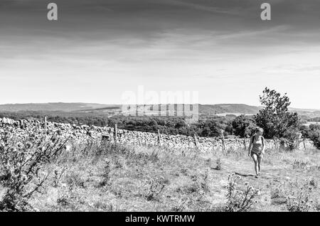 Una giovane donna che cammina da una campagna di recinzione in pietra in inglese il Peak District Foto Stock