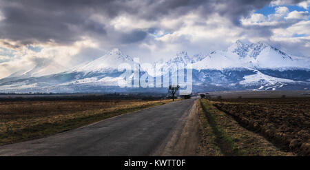 Strada di inverno Alti Tatra Mountains National Park con neve, Slovacchia. Malinconica stagione invernale atmosfera con un colore pastello pallete. Foto Stock