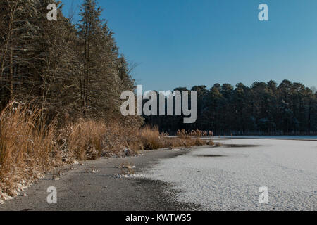 Un laghetto congelato nel New Jersey pine barrens Foto Stock