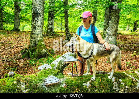 Donna e wolfdog in legno di faggio. Foto Stock