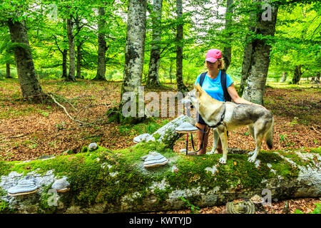 Donna e wolfdog in legno di faggio. Foto Stock