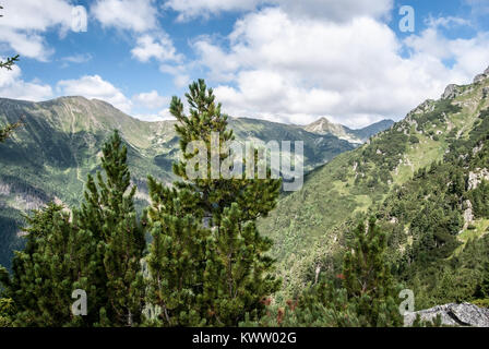 Baranec, Placlive e Ostry Rohac picchi da Nizny Ostredok picco Otrhance sul crinale in Western montagne Tatra in Slovacchia durante la bella estate Foto Stock