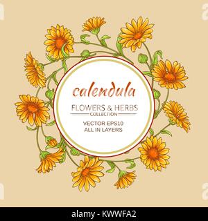 Calendula fiori telaio vettore sul colore di sfondo Illustrazione Vettoriale