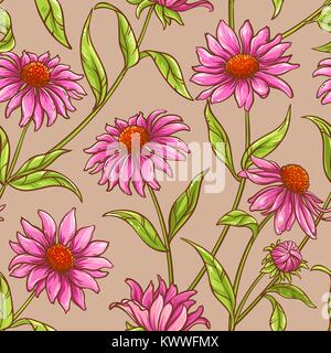 Echinacea purpurea seamless pattern sul colore di sfondo Illustrazione Vettoriale