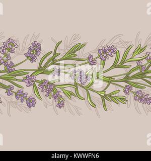 Lavanda fiori vector pattern sul colore di sfondo Illustrazione Vettoriale