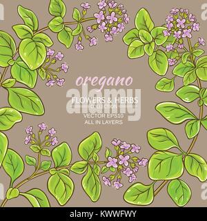 Origano vettore rami telaio sul colore di sfondo Illustrazione Vettoriale