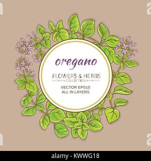 Origano vettore rami telaio sul colore di sfondo Illustrazione Vettoriale