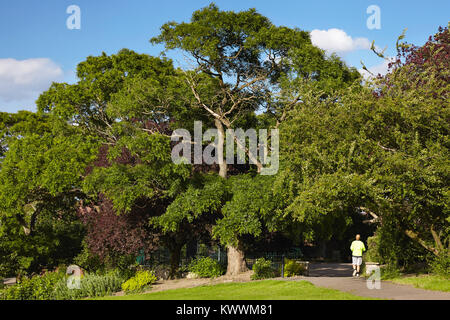 Sunny Hill Park, Hendon, London, Regno Unito Foto Stock