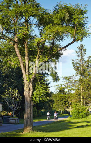 Sunny Hill Park, Hendon, London, Regno Unito Foto Stock