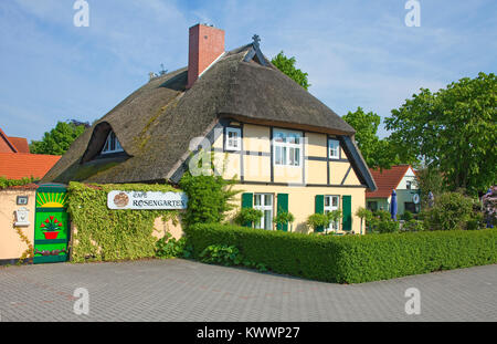 Casa in legno e muratura con il tetto di paglia a Zingst, Fishland, Meclemburgo-Pomerania, Mar Baltico, Germania, Europa Foto Stock