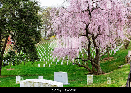 È molto commovente camminando i motivi del Cimitero di Arlington Foto Stock