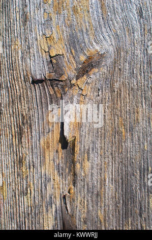 La piena immagine di frame di un listello di legno, ideale per uso come sfondo - Giovanni Gollop Foto Stock