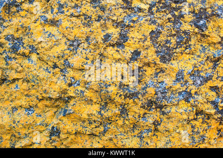 Close-up di rocce basaltiche coperto di lichene arancione - Giovanni Gollop Foto Stock