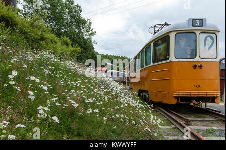 MANNAMINNE, SVEZIA IL 19 LUGLIO 2017. Vista di un tram sul terreno. Fiori a sinistra. Uso editoriale. Foto Stock