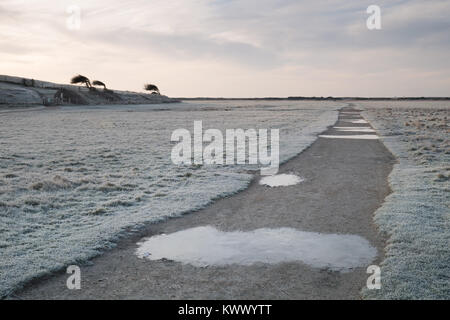 Un percorso attraverso Cuckmere Valley, che portano al mare, con pozzanghere congelate, gelo e alberi piegati. Foto Stock