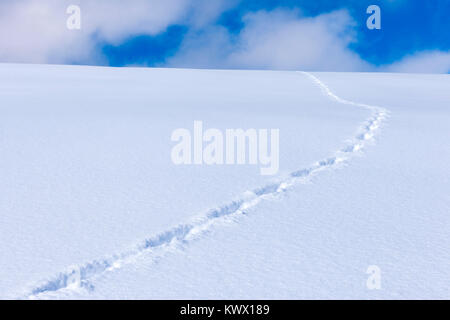 Deutschland, Landkreis Breisgau-Hochschwarzwald, Hinterzarten Foto Stock