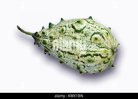 Kiwano (Cucumis metuliferus vegetali su sfondo bianco Foto Stock