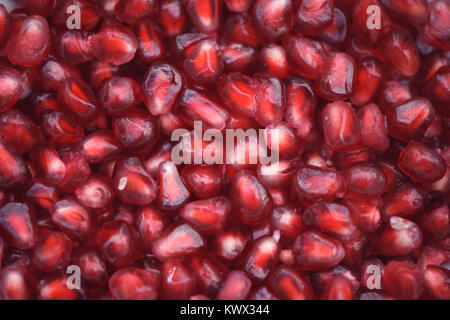 Abstract macro close up food fotografia immagine di colore rosso brillante shiny succosa sani i semi di melograno per uno sfondo e un spazio di copia Foto Stock