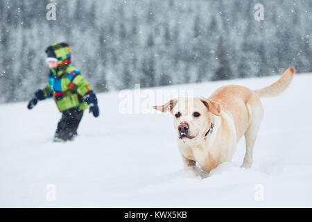 Stagione invernale con il cane in natura. Little Boy giocando con giallo labrador retriever nella neve. Foto Stock