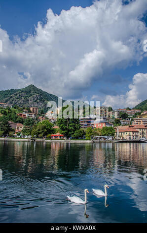 Omegna è un comune della provincia di Verbano Cusio Ossola nella regione Italiana Piemonte all'estremità settentrionale del Lago d'Orta Foto Stock