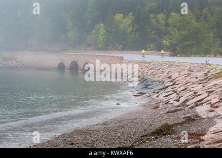 Due adulti i ciclisti in bicicletta il parco principale strada lungo la costa dell'Oceano Atlantico a Otter Cove sull'isola di Mount Desert in foggy meteo. Acadia National Foto Stock