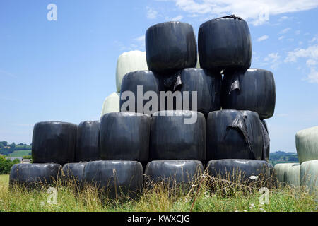 Cumulo di plastica rivestito rotoli sul campo, Francia Foto Stock