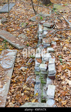 Le rovine della vecchia fattoria, George Décorétrès's wagon, nei boschi vicino al porto di bussola, Parco Nazionale di Acadia, Maine. Foto Stock